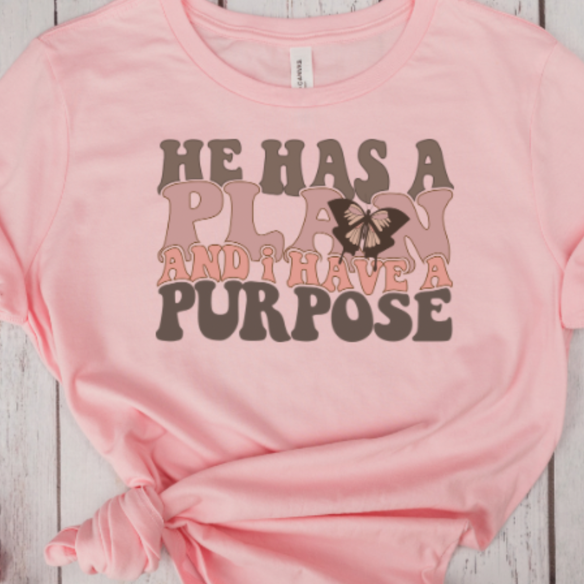 He Has a Plan I Have a Purpose Tee