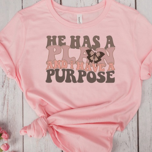 He Has a Plan I Have a Purpose Tee